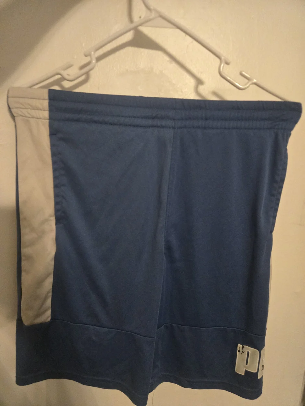 2 Blue Shorts